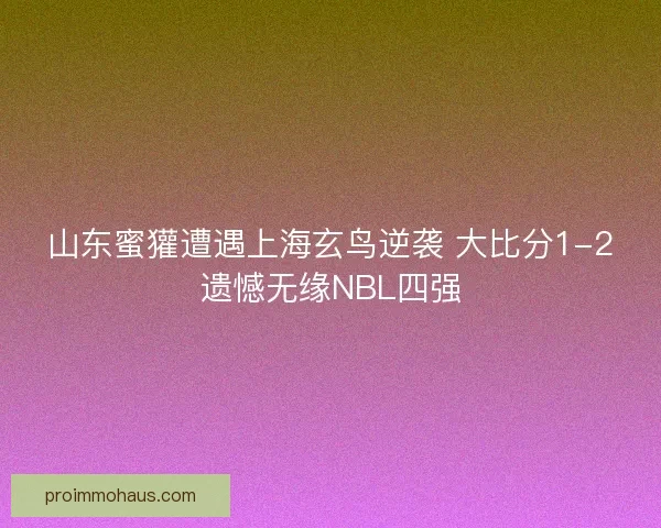 山东蜜獾遭遇上海玄鸟逆袭 大比分1-2遗憾无缘NBL四强
